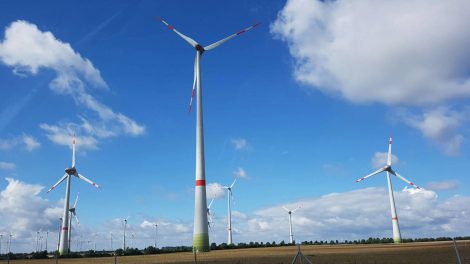 Erneuerbare Energie aus Windkraft. Foto: Mertens