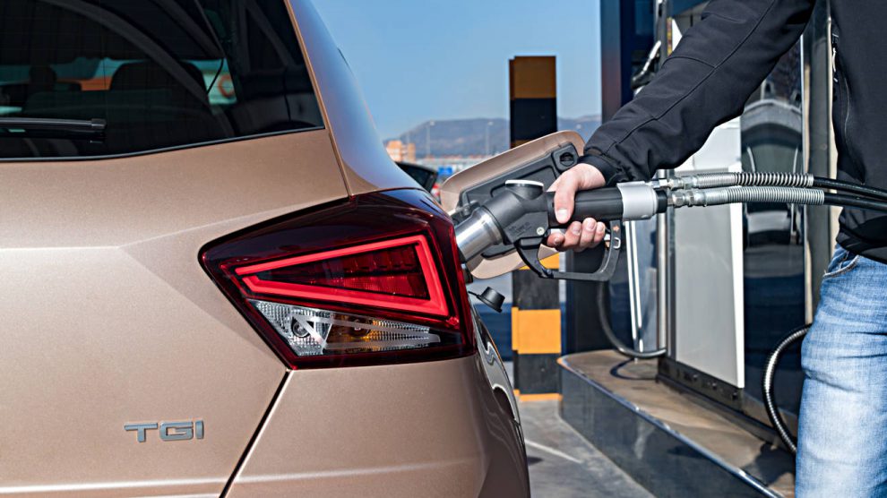 Seat Ibiza TGI. Foto: Seat